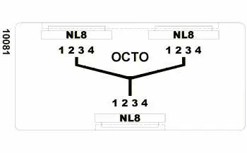 Octo 10081 chart.webp